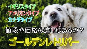 【飼いたい人だけ見て！】ゴールデンレトリバーの価格はオス ...