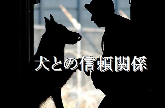 犬-信頼関係が大事