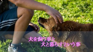 犬-飼う-暮らす