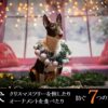 犬-クリスマスツリー-倒す-オーナメント-食べたる-対策