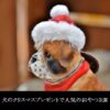 犬のクリスマスプレゼントで人気のおやつ３選