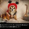 【意識調査】愛犬にクリスマスプレゼントをあげた事はある？どのような物を贈ったの？